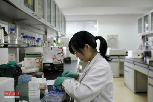在南京大学的一间实验室内,一名研究人员正在研制药品。(路透社)