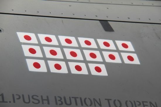 F-16B座舱盖边绘制的16个击落日本飞机标志,这一涂装是模仿抗日期间美国志愿大队第一大队队长尼尔(Robert H.Neale)击落16架日机的战功纪录 F-16B座舱盖边绘制的16个击落日本飞机标志,这一涂装是模仿抗日期间美国志愿大队第一大队队长尼尔(Robert H.Neale)击落16架日机的战功纪录