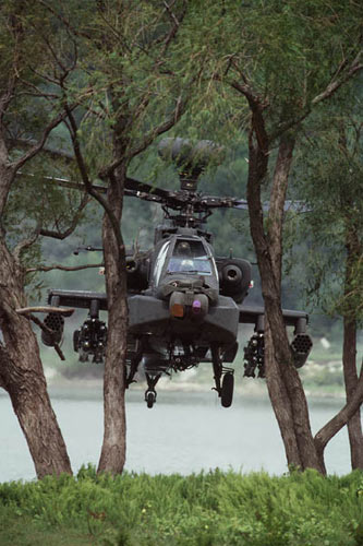 ̨ȷɹ30AH-64Dֱ730̨