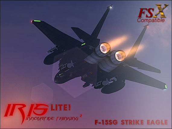 新加坡增购4架F-15SG战机 总数达到24架(图)