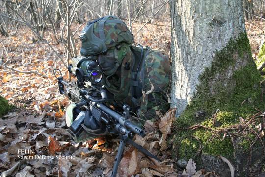 ͼ�ģ�����FELINδ��ս��ϵͳ��ǹ�ִ���