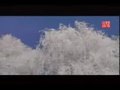 ƵƬ-洫ݳм ﻪ챦