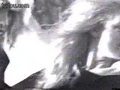 ��Ƶ��Ү³ ��������ѧ̽��(12)������Ļ