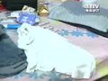 ٵ·С