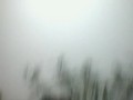 Ƶר2008չ--Ů