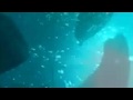 ����ѫ������