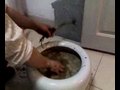 ��ɫ����3��Ƶ(���Bri¼��)