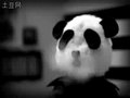 Ƶ˴糤̸2008ͼ