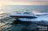 վڿƼǰ˵2012 Sea Rayͧ