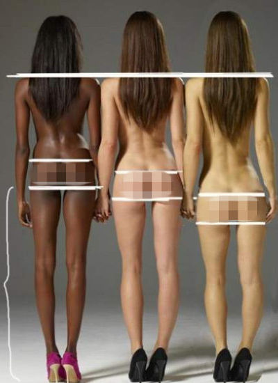 各人种女性身材比例图 各人种女性身材比例图