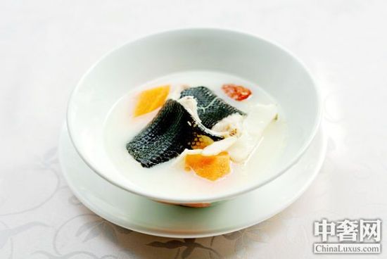 清煲海豹蛇 清煲海豹蛇