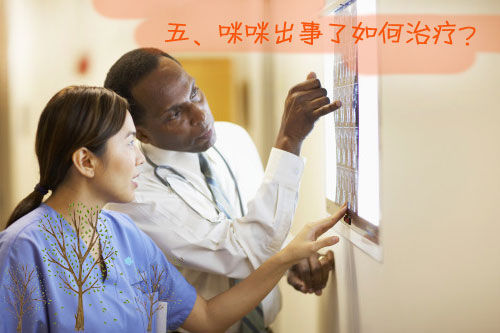 咪咪真出事了该如何治疗? 咪咪真出事了该如何治疗?