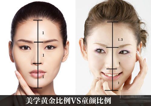 面部比例标准 面部比例标准