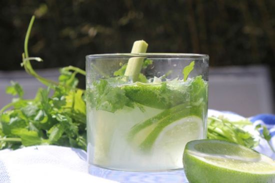 Lemongrass-Lime Gin Rickey Lemongrass-Lime Gin Rickey