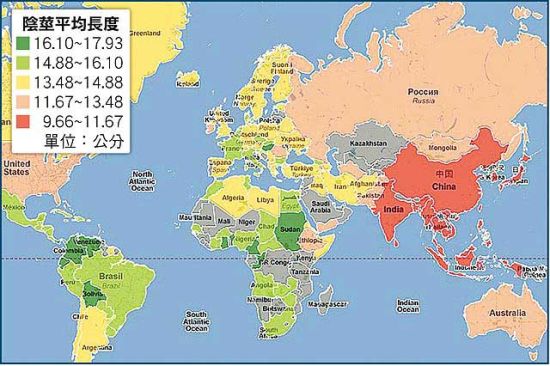 全球阴茎尺寸图 全球阴茎尺寸图