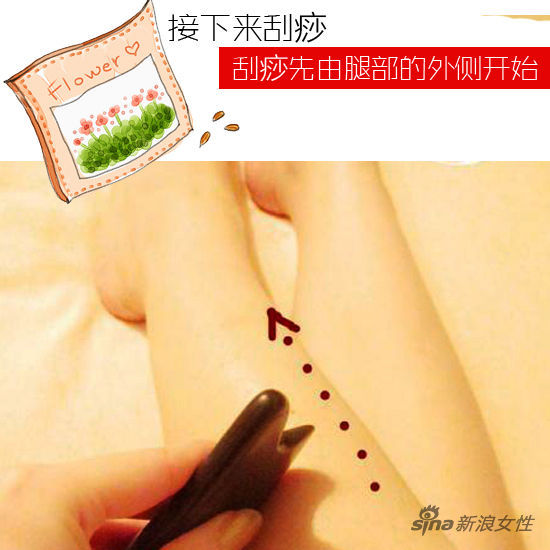 刮痧先由腿部的外侧开始 刮痧先由腿部的外侧开始