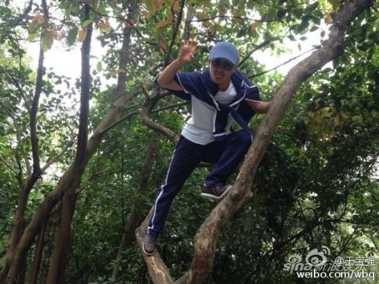 王宝强顽皮爬树