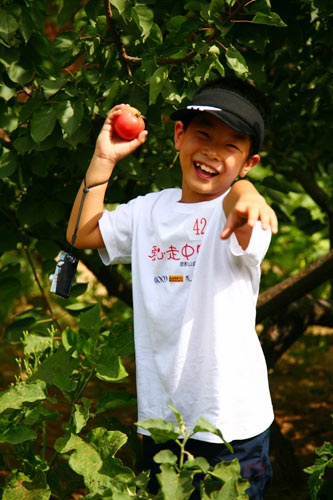 ���ͼƬ������һҳ