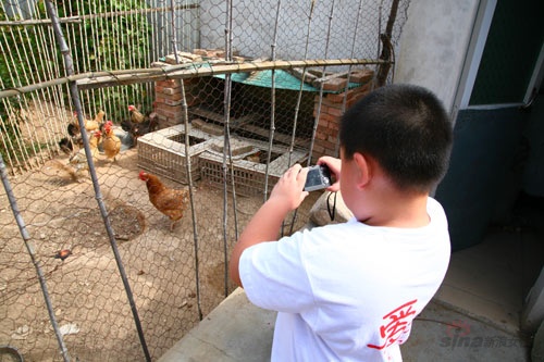 ���ͼƬ������һҳ