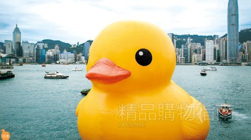 1.黄色橡皮鸭在香港维多利亚港每天吸引无数观者。 1.黄色橡皮鸭在香港维多利亚港每天吸引无数观者。