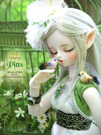 组图:DOD娃娃女孩终极梦想(2)