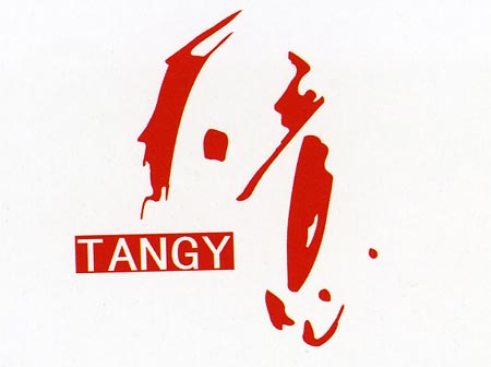 中国青年最喜爱服装候选品牌--天意(图)