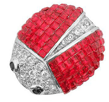 奇趣大自然 swarovski可爱昆虫胸针(组图)(2)