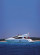 Sunseeker F1սʿǰ׷̫