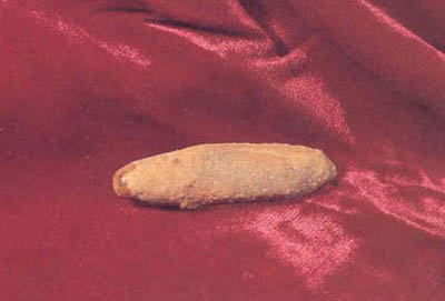 从古至今女用自慰具(组图)