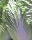 ڶ12ʳƷ