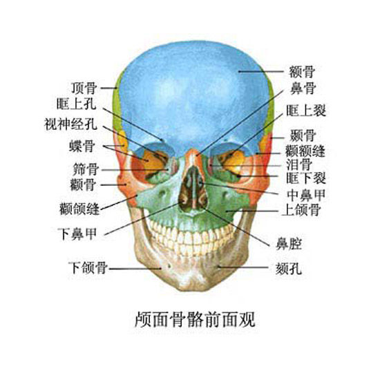 流言:拔掉两边的智齿,就可以让脸部瘦下来,杨幂,张柏芝就是这样缩小