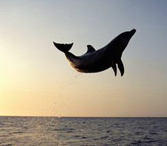 爱问知识人 - 新浪旗下中文互动问答平台