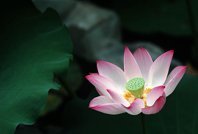 【推荐博友】擅长人文摄影的博友林中响箭