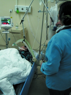 等灯被撞脑死亡 肇事逃逸者10小时后落网