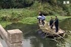 ��Ƶ������ײ�˺��ʬ ���ҩ���ΰ�����