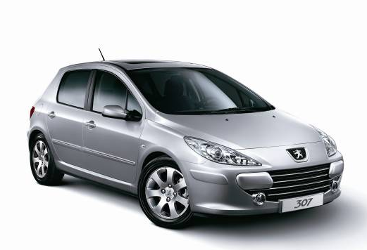 自由Hold得住 两款307任你选