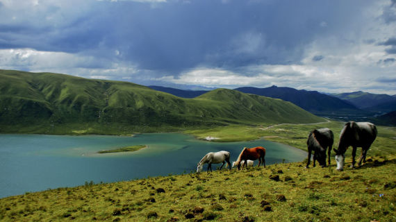 普利司通启动探索年保玉则生态保护公益之旅