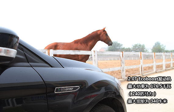 锦上添花 蒙迪欧致胜运动限量版体验