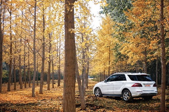 王牌品质--试驾奔驰ML350(图)