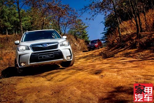 “全能”猎人 试驾新一代Forester森林人
