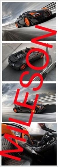 布加迪威航Vitesse WRC 将亮相上海车展