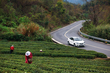 江南韵味--试驾雷诺新风朗(图)