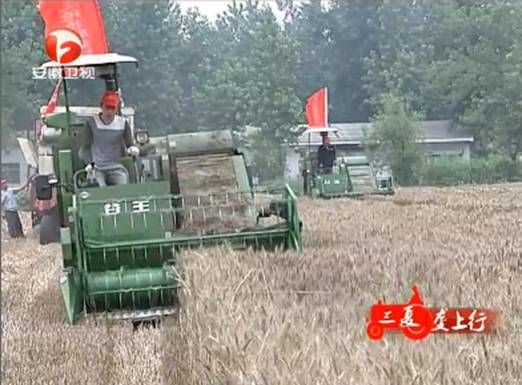 奇瑞重工:谷王履带式收割机“三夏”麦收大显身手