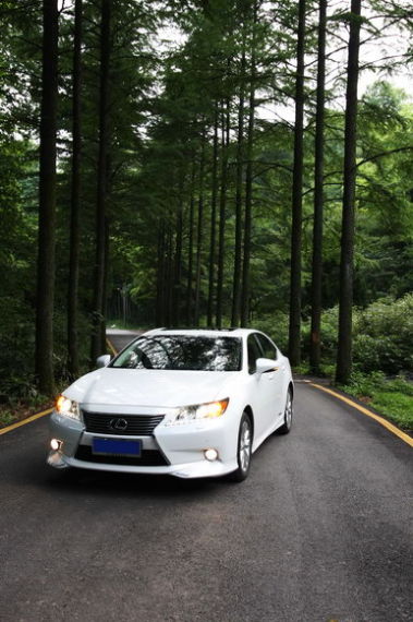 独特情怀 试驾雷克萨斯ES300h豪华版