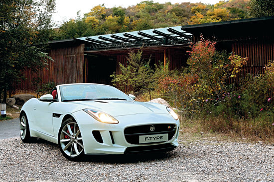 有激情才有未来 试驾捷豹f-type passion