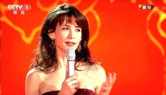 中法建交50周年 DS迎来发展新机遇