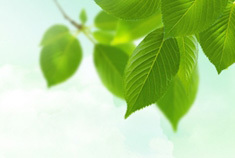 车界风云：电动车普及遇市场技术难题?