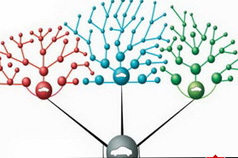 营销之道：自主品牌网络营销炼金术