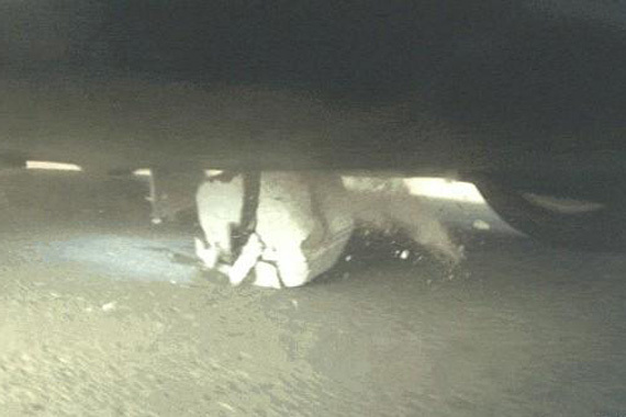 特斯拉加装防护罩 美当局撤销安全调查