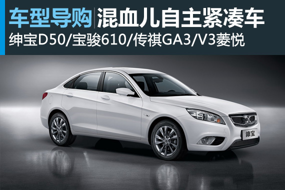 华裔混血儿 五款国外技术平台自主紧凑车